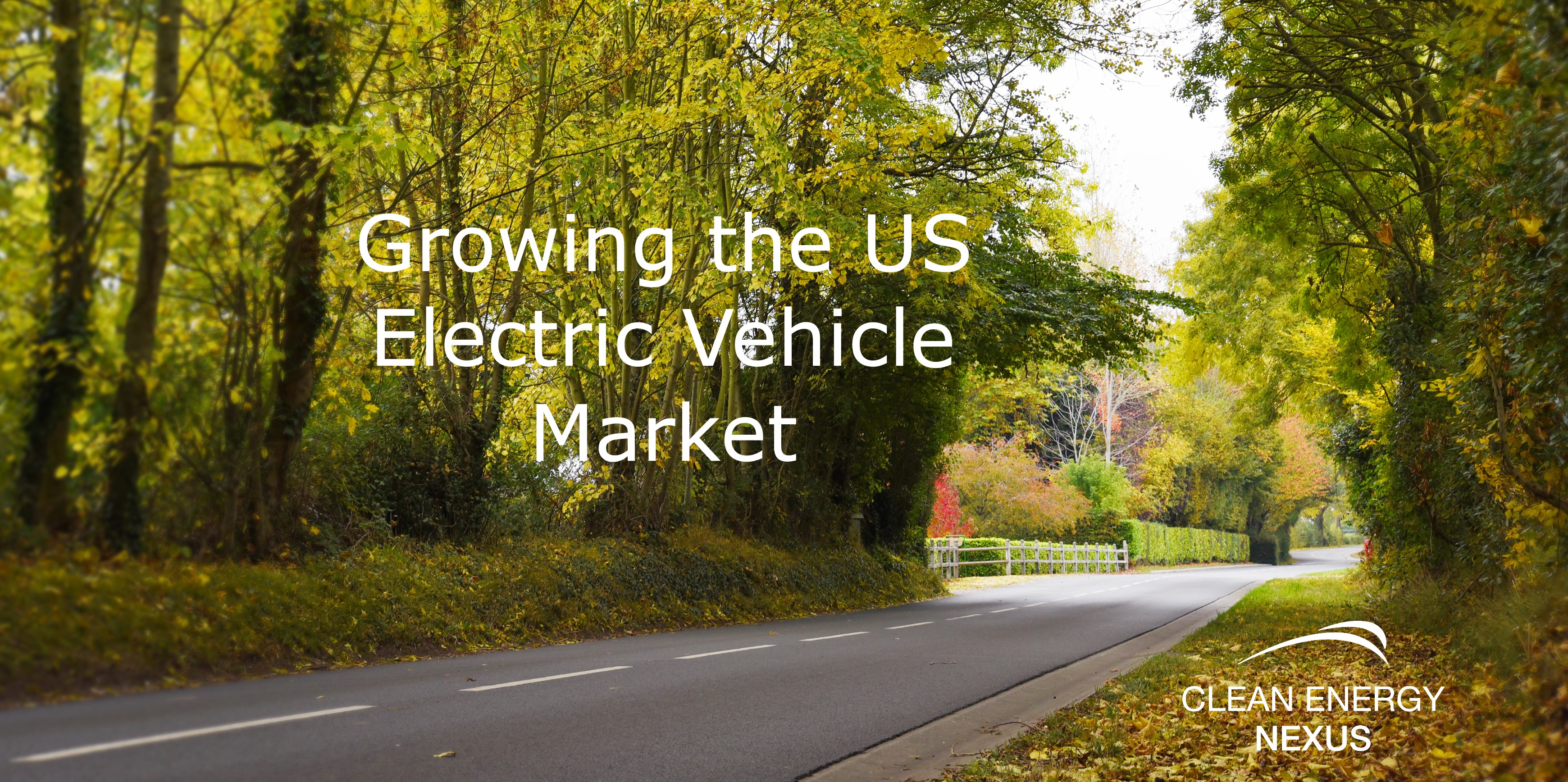 Growing the US Electric Vehicle Market