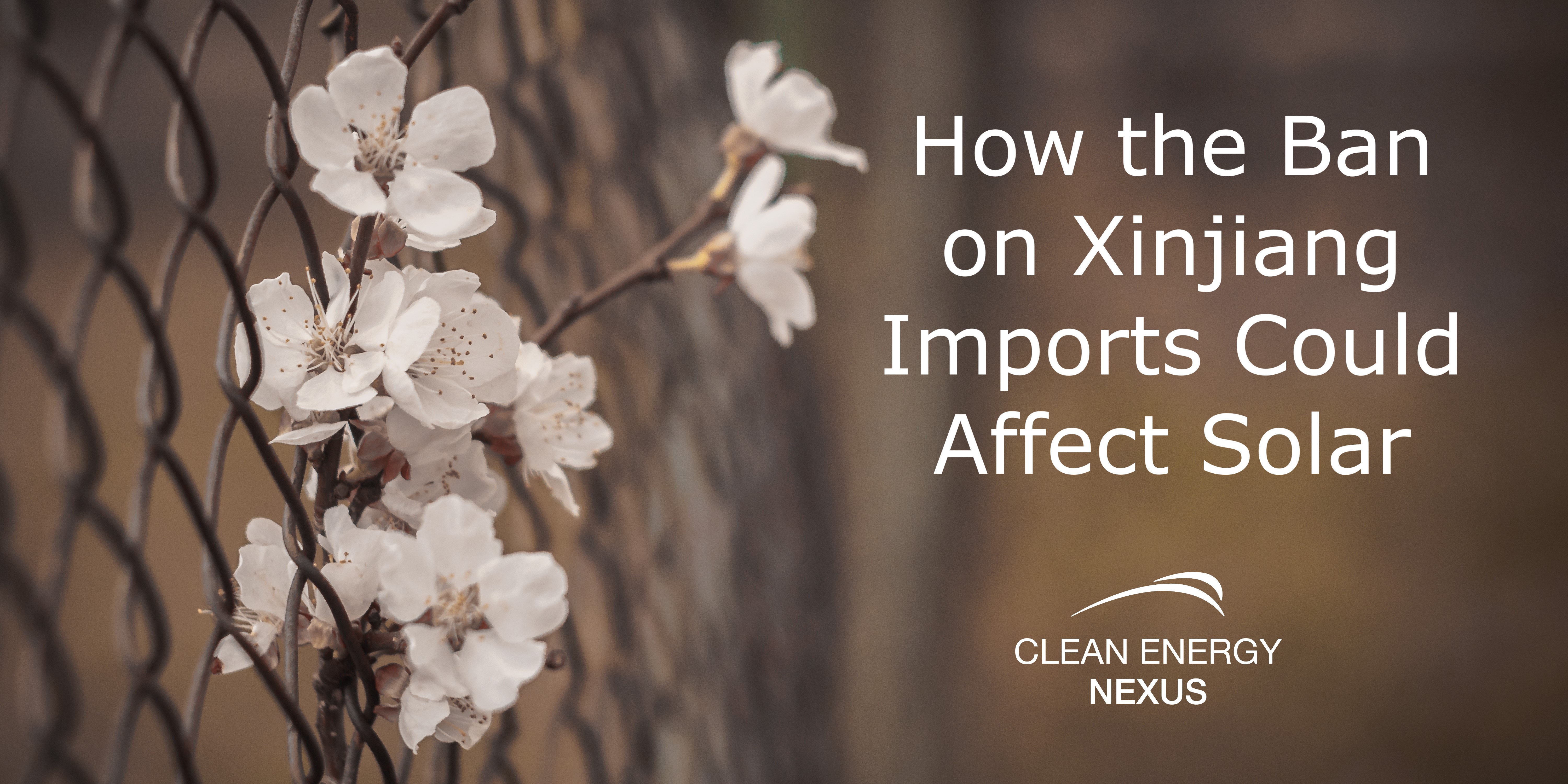 How the Ban on Xinjiang Imports Could Affect Solar