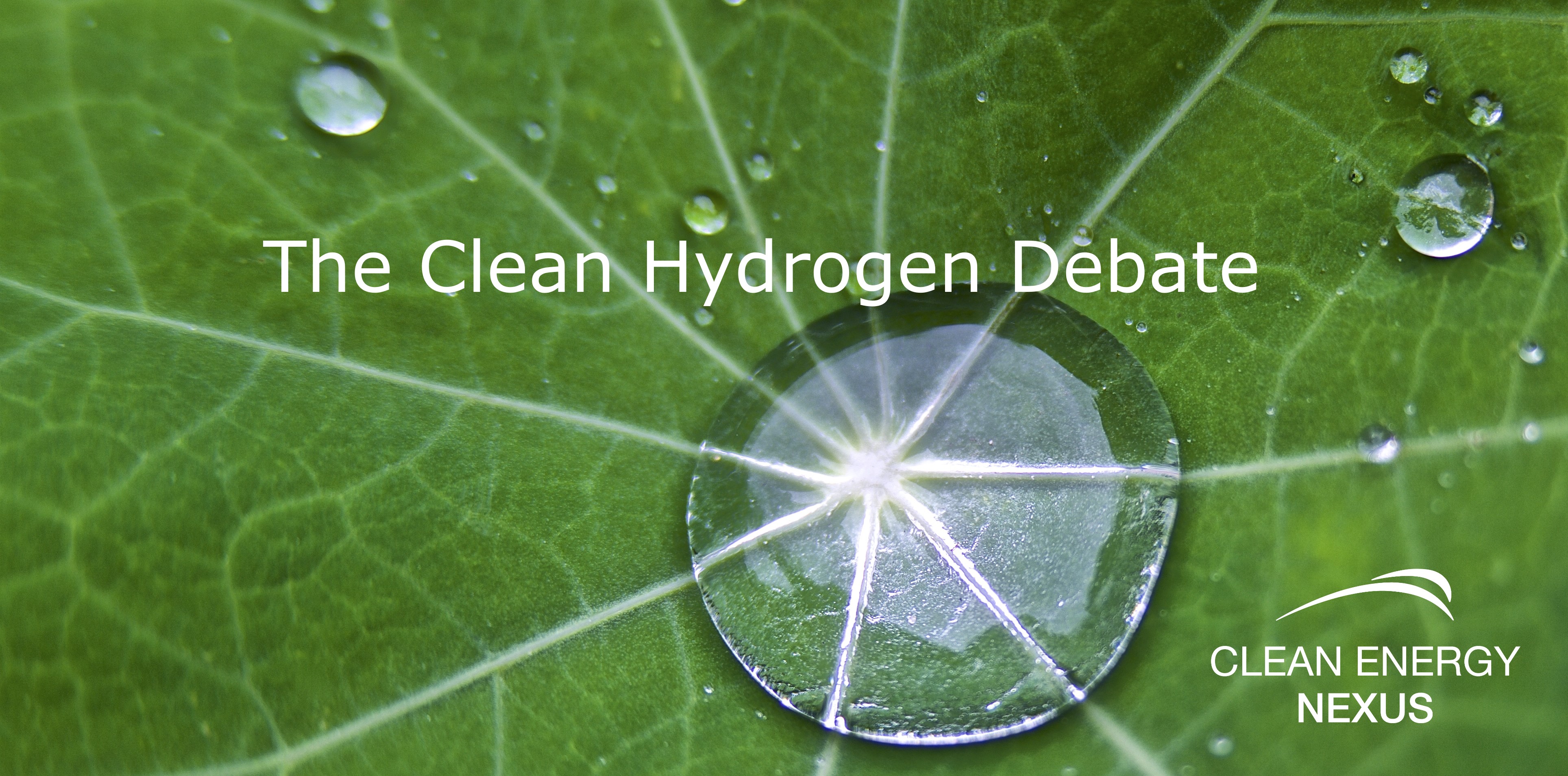 The Clean Hydrogen Debate